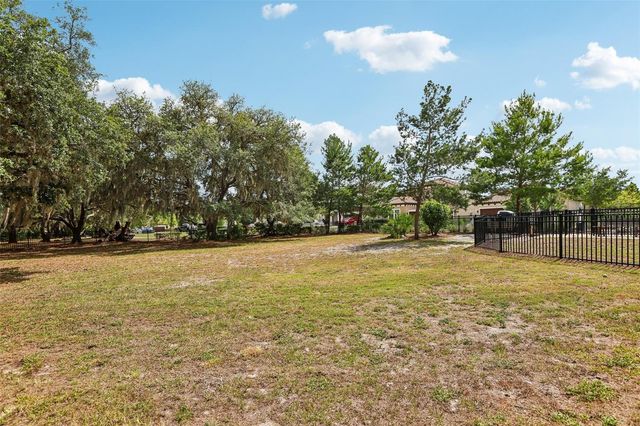 3998 NIGHT STAR TRAIL, Odessa, FL 33556