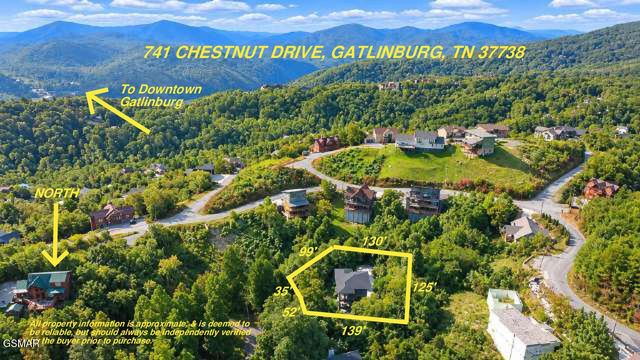 741 Chestnut Drive, Gatlinburg, TN 37738
