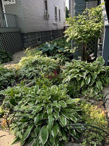 5055 W Argyle Street, Chicago, IL 60630