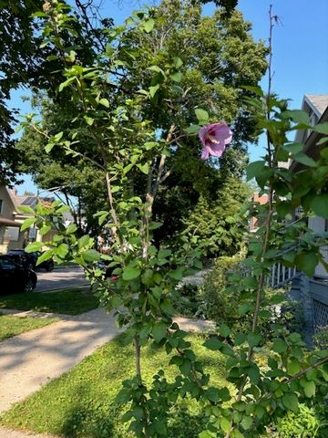 5055 W Argyle Street, Chicago, IL 60630