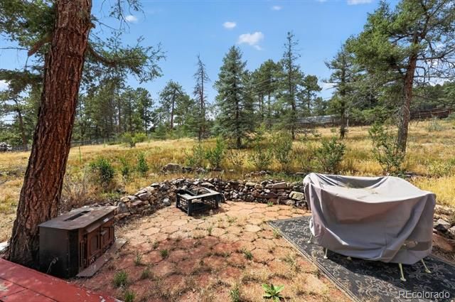 27231 Log Trail, Conifer, CO 80433
