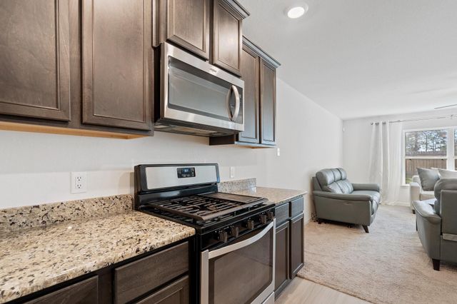20719 Nala Bear Drive, Hockley, TX 77447
