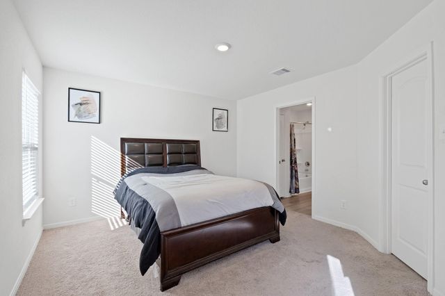 20719 Nala Bear Drive, Hockley, TX 77447
