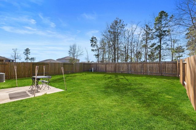 20719 Nala Bear Drive, Hockley, TX 77447