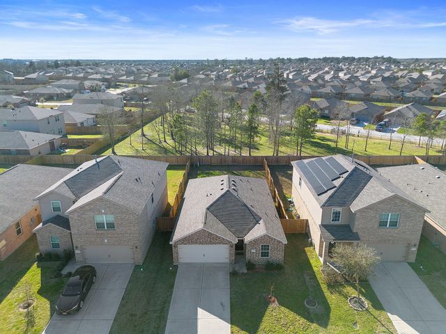 20719 Nala Bear Drive, Hockley, TX 77447