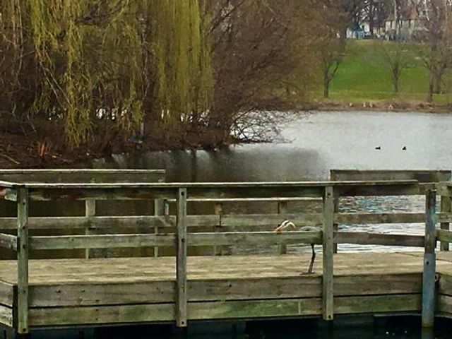 1300 Powderhorn Terrace 28, Minneapolis, MN 55407