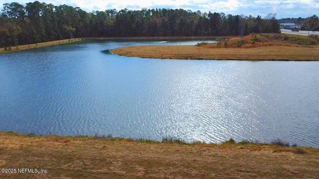 3228 TALISMAN Drive, Middleburg, FL 32068