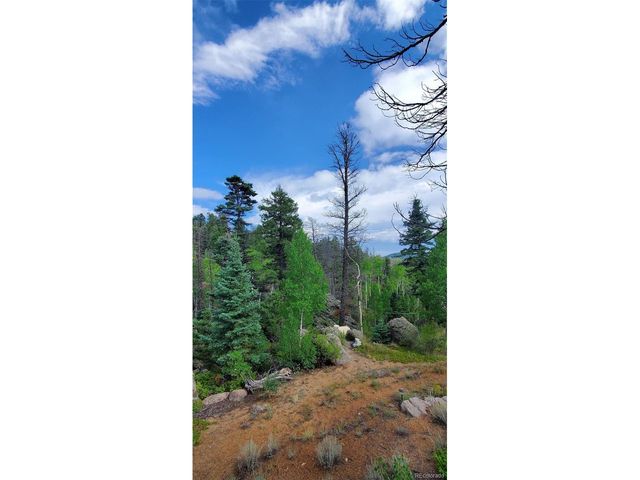 880 Burno Mountain Rd, Cotopaxi, CO 81223