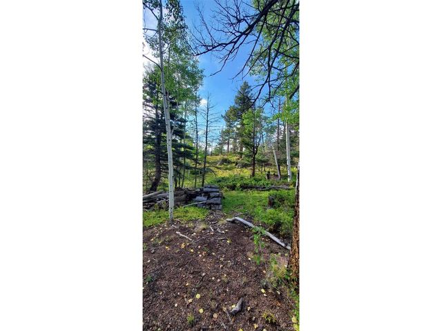 880 Burno Mountain Rd, Cotopaxi, CO 81223