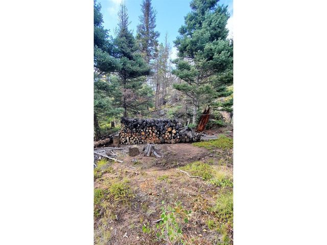 880 Burno Mountain Rd, Cotopaxi, CO 81223