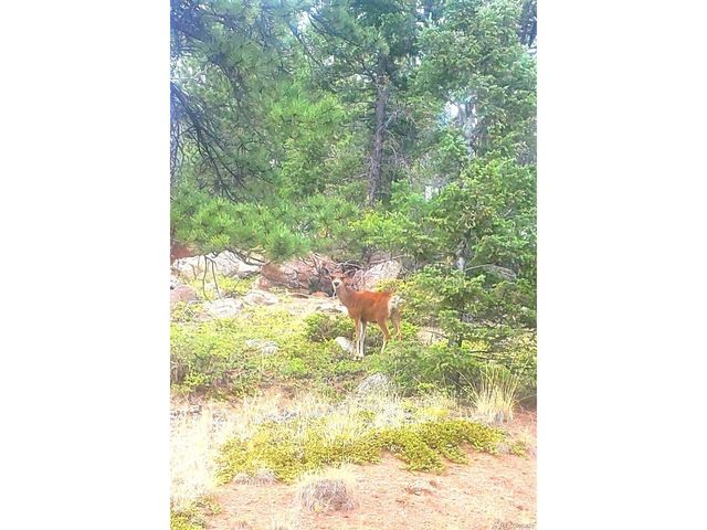 880 Burno Mountain Rd, Cotopaxi, CO 81223