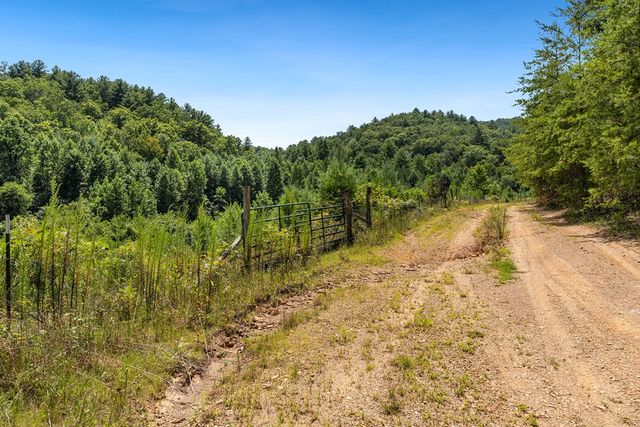 80 ACRE Shangri La Drive, Mineral Bluff, GA 30559