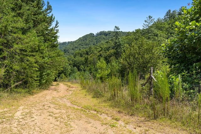 80 ACRE Shangri La Drive, Mineral Bluff, GA 30559