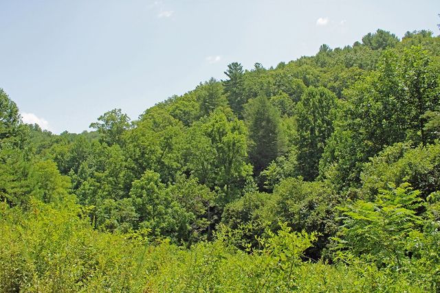 80 ACRE Shangri La Drive, Mineral Bluff, GA 30559