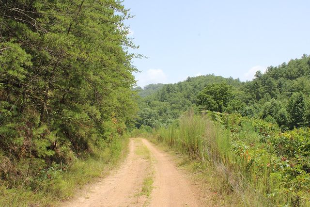 80 ACRE Shangri La Drive, Mineral Bluff, GA 30559