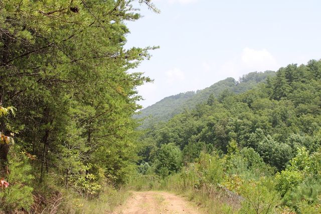 80 ACRE Shangri La Drive, Mineral Bluff, GA 30559