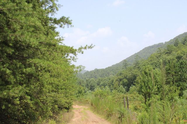 80 ACRE Shangri La Drive, Mineral Bluff, GA 30559