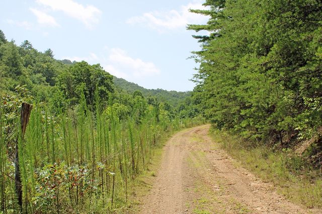 80 ACRE Shangri La Drive, Mineral Bluff, GA 30559