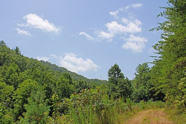 80 ACRE Shangri La Drive, Mineral Bluff, GA 30559