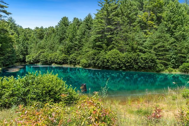 80 ACRE Shangri La Drive, Mineral Bluff, GA 30559