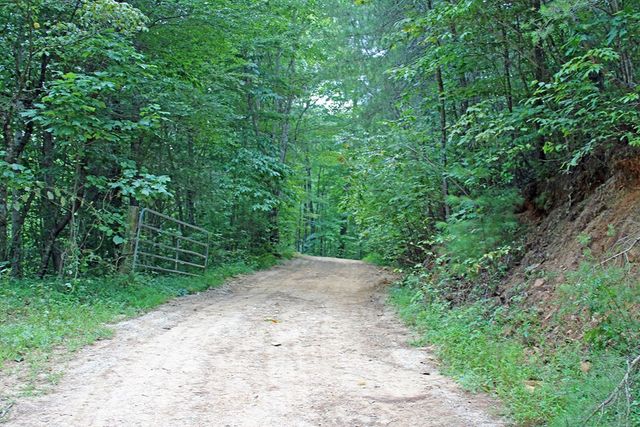 80 ACRE Shangri La Drive, Mineral Bluff, GA 30559