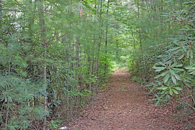 80 ACRE Shangri La Drive, Mineral Bluff, GA 30559