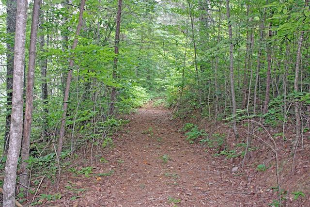 80 ACRE Shangri La Drive, Mineral Bluff, GA 30559