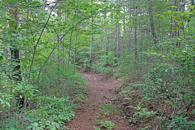 80 ACRE Shangri La Drive, Mineral Bluff, GA 30559
