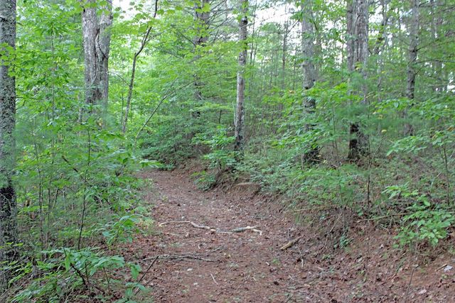 80 ACRE Shangri La Drive, Mineral Bluff, GA 30559