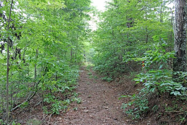 80 ACRE Shangri La Drive, Mineral Bluff, GA 30559