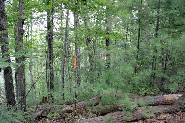 80 ACRE Shangri La Drive, Mineral Bluff, GA 30559