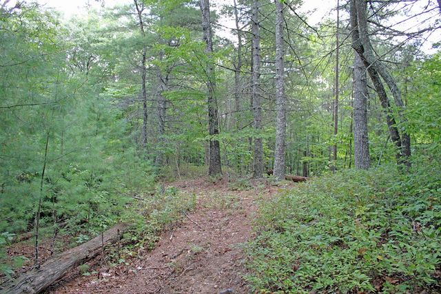 80 ACRE Shangri La Drive, Mineral Bluff, GA 30559