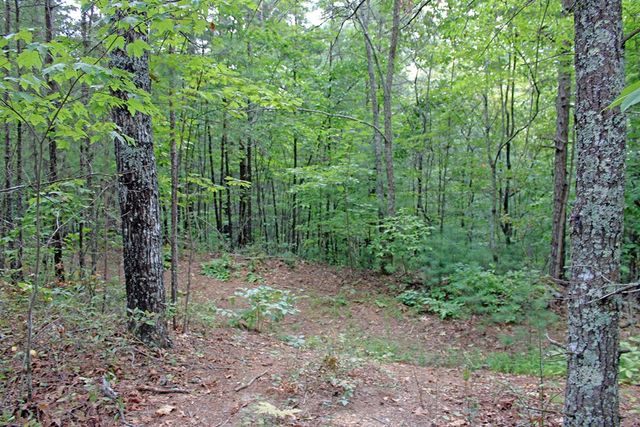 80 ACRE Shangri La Drive, Mineral Bluff, GA 30559