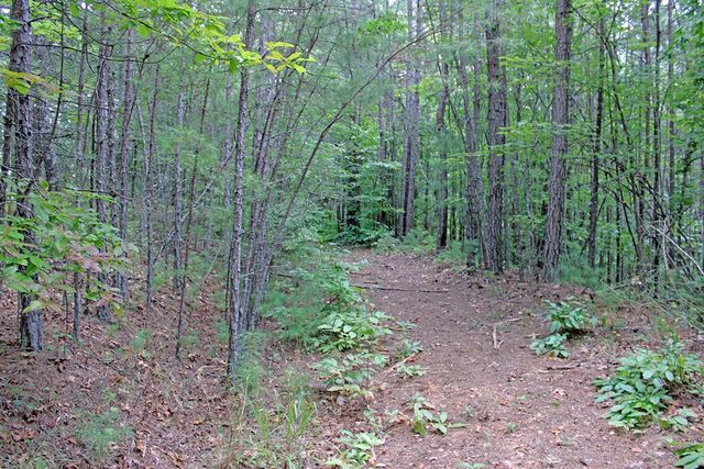 80 ACRE Shangri La Drive, Mineral Bluff, GA 30559