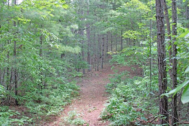 80 ACRE Shangri La Drive, Mineral Bluff, GA 30559