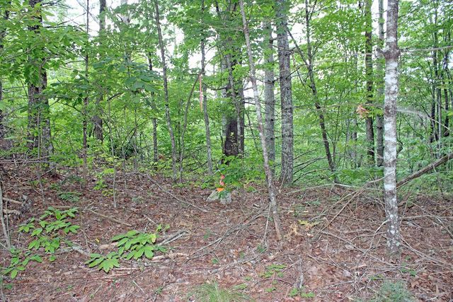 80 ACRE Shangri La Drive, Mineral Bluff, GA 30559