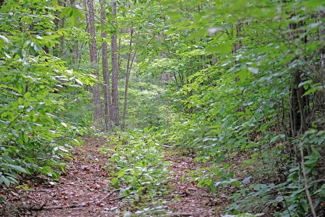 80 ACRE Shangri La Drive, Mineral Bluff, GA 30559