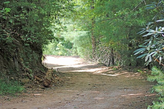 80 ACRE Shangri La Drive, Mineral Bluff, GA 30559
