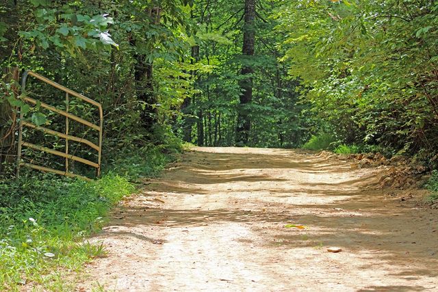 80 ACRE Shangri La Drive, Mineral Bluff, GA 30559