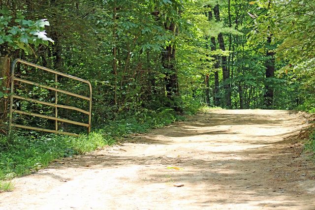 80 ACRE Shangri La Drive, Mineral Bluff, GA 30559