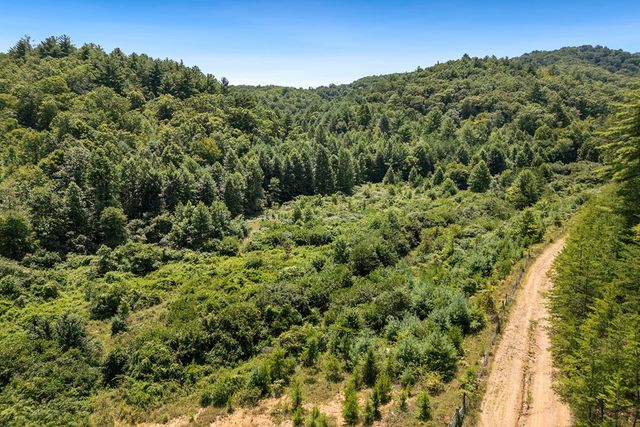 80 ACRE Shangri La Drive, Mineral Bluff, GA 30559