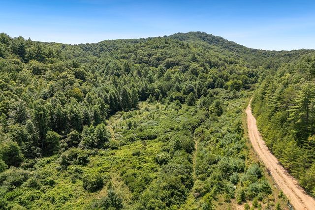 80 ACRE Shangri La Drive, Mineral Bluff, GA 30559
