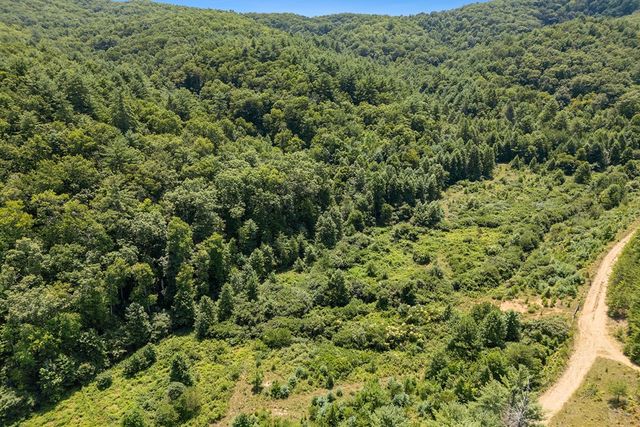 80 ACRE Shangri La Drive, Mineral Bluff, GA 30559