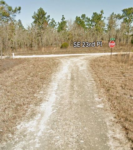 SE 23RD PLACE, Morriston, FL 32668