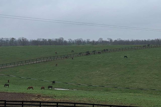 358 Blacks Cross Road, Paris, KY 40361