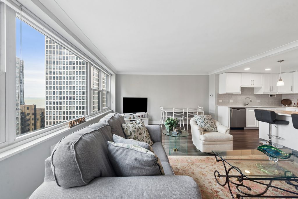 850 N DEWITT Place 16E, Chicago, IL 60611 — photo 4