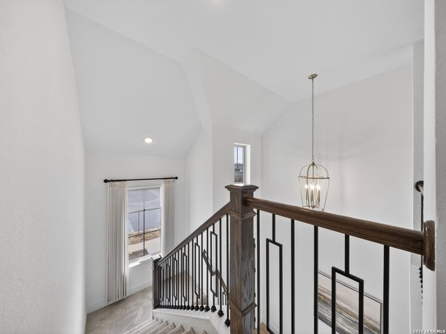 1858 Nettletree, New Braunfels, TX 78132