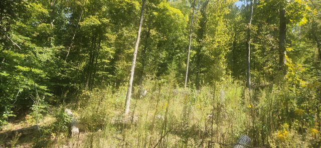 7024 Taylor Creek Loop, Nunnelly, TN 37137