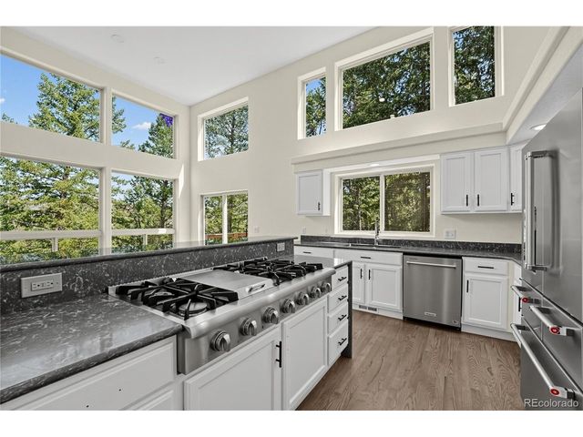 100 Elk Valley Way, Evergreen, CO 80439