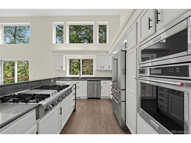 100 Elk Valley Way, Evergreen, CO 80439